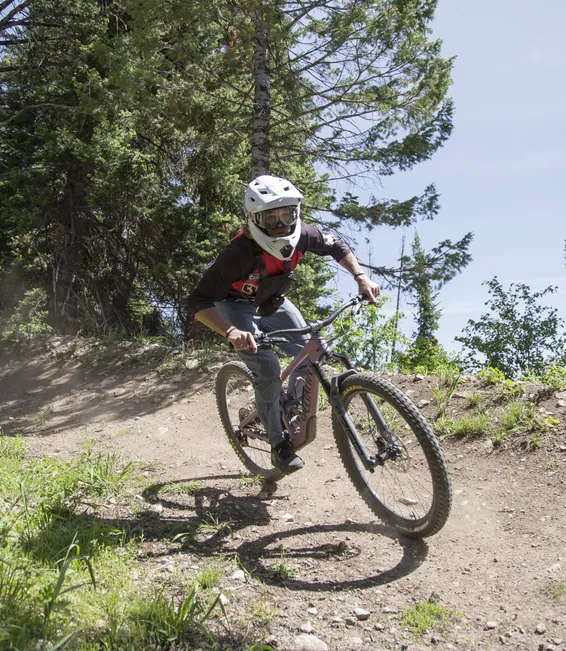A mountain biker riding forest singletrack
