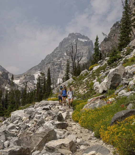 A hiker on a rocky canyon trail among summer wildflowers